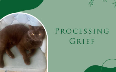 Processing Grief