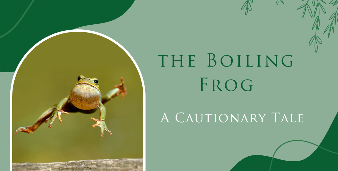 The Boiling Frog – A Cautionary Tale
